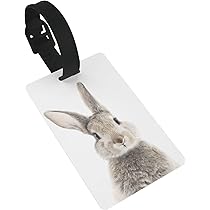 Amazon.co.jp: ラゲッジタグ 名刺 ネームタグ うさぎ うさぎ柄